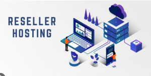 Read more about the article Title: Demystifying Reseller Hosting: A Comprehensive Guide