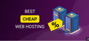 Read more about the article Title: Exploring Cost-Effective Hosting Solutions: Which Type Fits Your Budget?