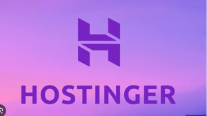 Read more about the article Title: What Can I Host on Ho stinger? A Comprehensive Guide