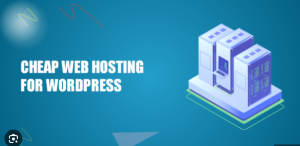 Read more about the article Title: The Comprehensive Guide to Cheap Web Hosting: Building a Strong Online Presence on a Budget